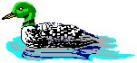 Loon.eps