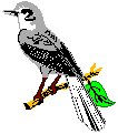 Mockingbird.eps