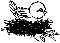 Nest 1.eps