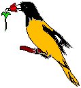 Oriole.eps