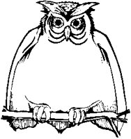 Owl 3.eps