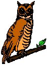 Owl 4.eps