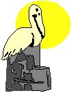 Pelican 2.eps