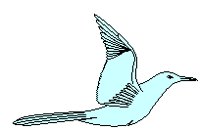 Seagull 3.eps
