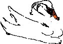 Swan Sketch 1.eps