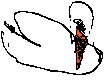 Swan Sketch 2.eps
