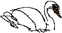 Swan Sketch 3.eps