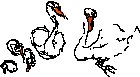 Swan Sketch Family.eps