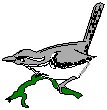 Wren.eps