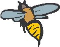Bee 2.eps
