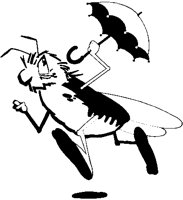 Bug with Umbrella.eps