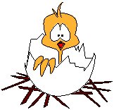 Chick 2.eps