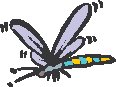 Dragonfly 1.eps