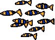 Fish - Sardines.eps