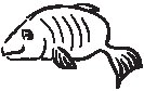 Fish - Sneaky.eps