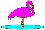 Flamingo.eps