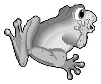 Frog 1.eps