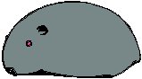 Gerbil.eps
