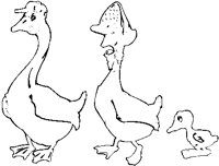 Goose Family.eps