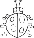 Ladybug 1.eps