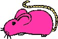 Mouse 3.eps