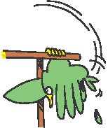 Parrot 3.eps