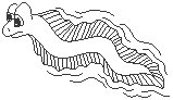Sea Serpent 1.eps