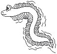 Sea Serpent 2.eps