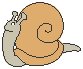 Snail 3.eps