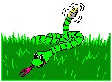 Snake in the Grass.eps
