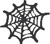 Spider Web.eps
