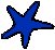 Starfish 1.eps