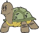 Tortoise 1.eps
