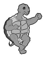 Tortoise 3.eps