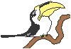 Toucan.eps