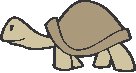 Turtle 1.eps