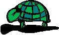 Turtle 5.eps