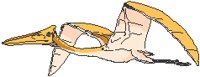 Pterodactyl 1.eps