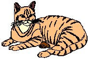 Cat 5.eps