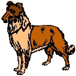 Collie.eps