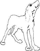 Dog - Hound.eps