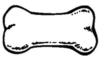 Dog Bone Frame.eps