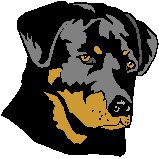 Dog Face 1.eps