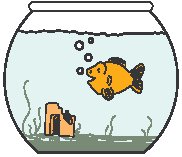 Goldfish 1.eps