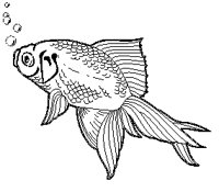 Goldfish 2.eps