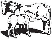 Horse & Pony.eps