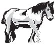 Horse 4.eps