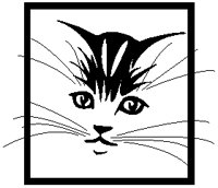 Kitten 1.eps