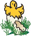Chick 1.eps
