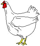Chicken 2.eps